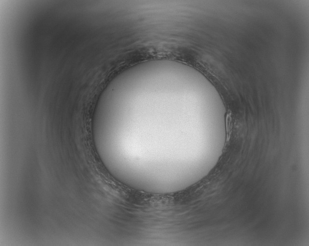 X0000069800865200605261720