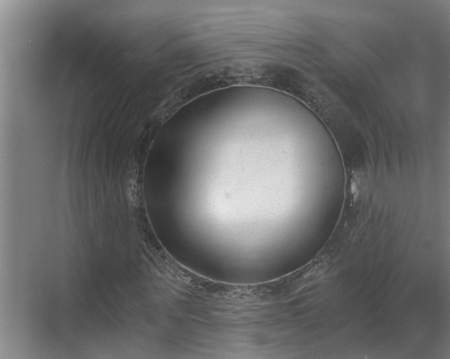 X0000069800867200605261720