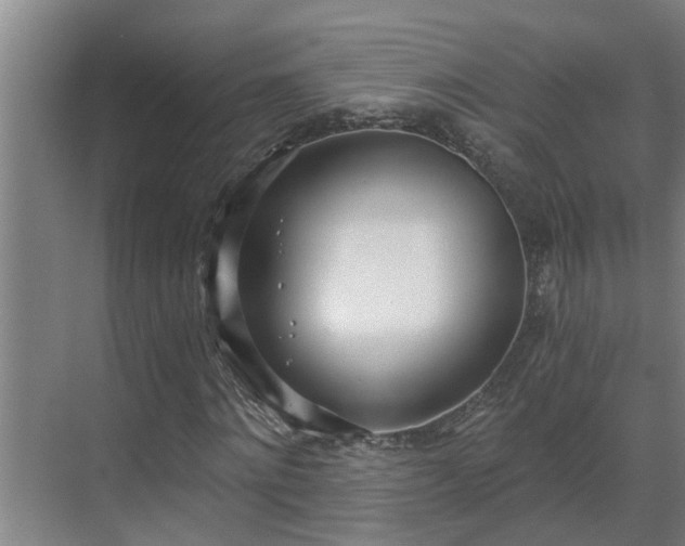 X0000069800868200605261720