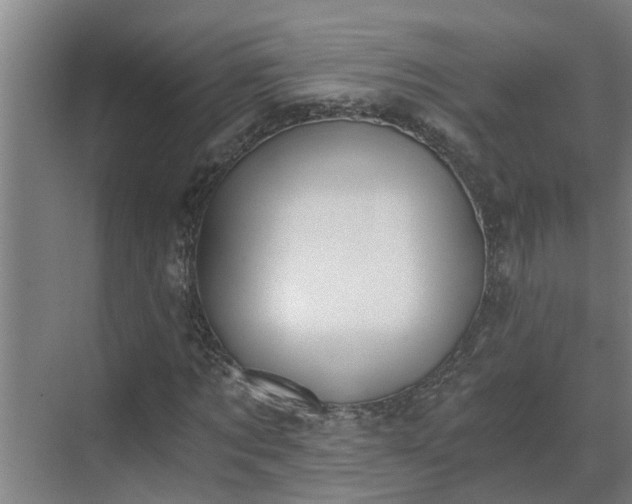 X0000069800869200605261720