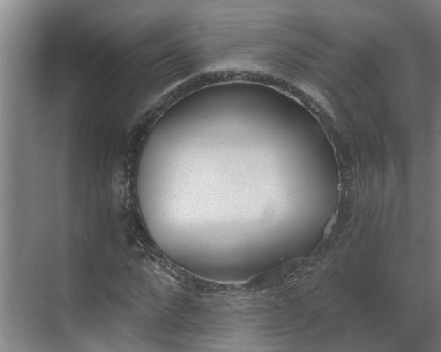 X0000069800872200605261720