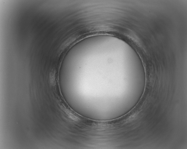 X0000069800873200605261720