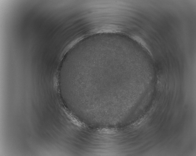 X0000069800874200605261720