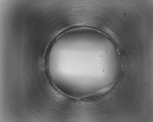 X0000069800876200605261720