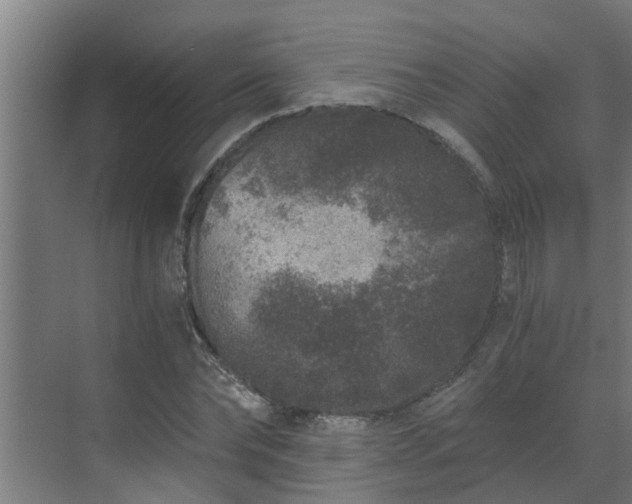 X0000069800878200605261720