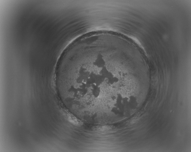 X0000069800879200605261720