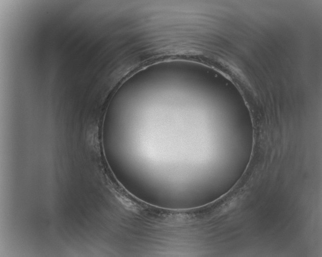 X0000069800881200605261720