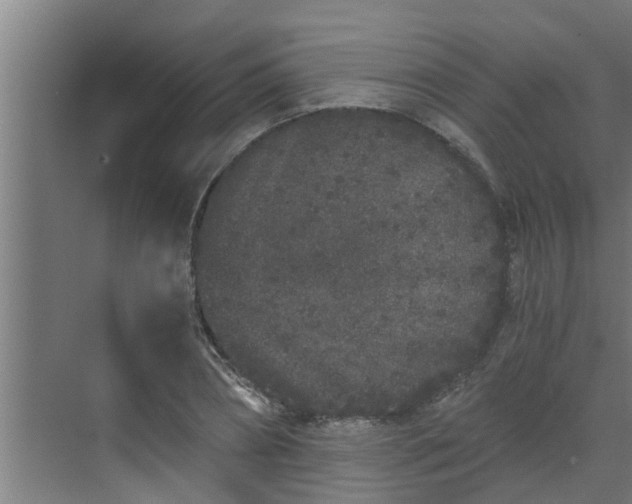 X0000069800882200605261720