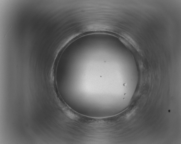 X0000069800885200605261720