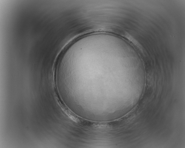 X0000069800886200605261720