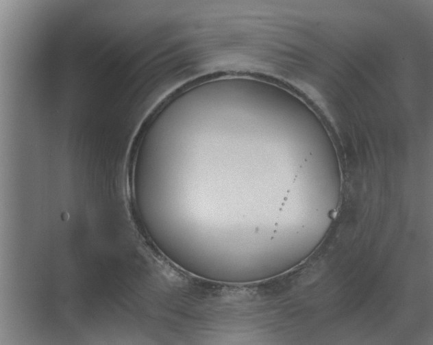 X0000069800887200605261720