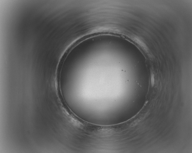 X0000069800888200605261720