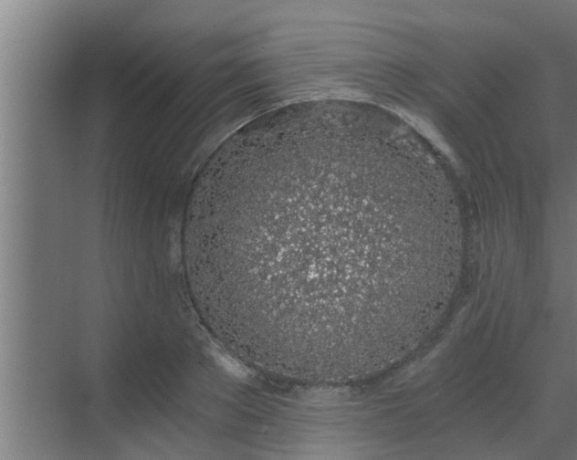 X0000069800889200605261720