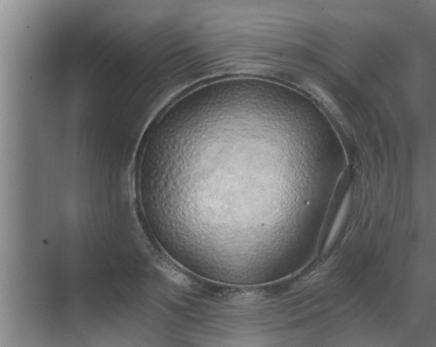 X0000069800891200605261720