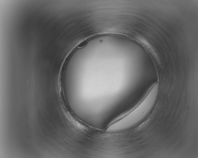 X0000069800892200605261720