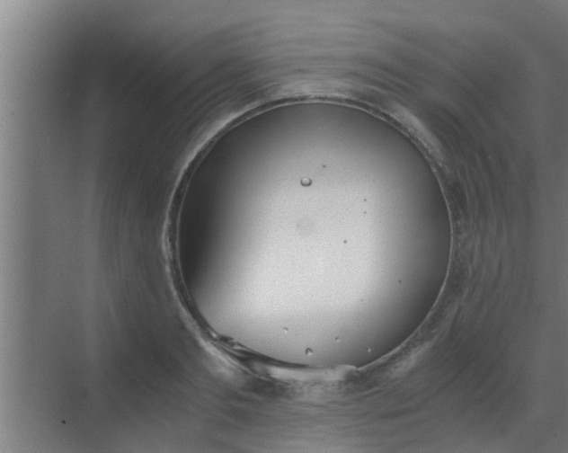 X0000069800893200605261720