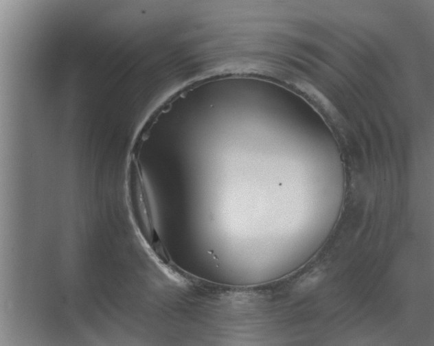 X0000069800894200605261720