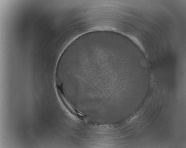 X0000069800895200605261720