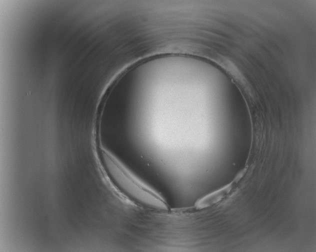 X0000069800896200605261719