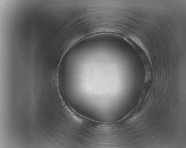 X0000069800898200605261719