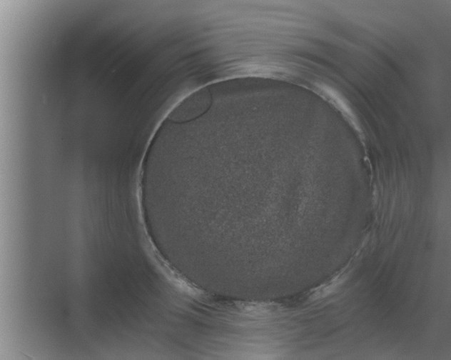 X0000069800899200605261719