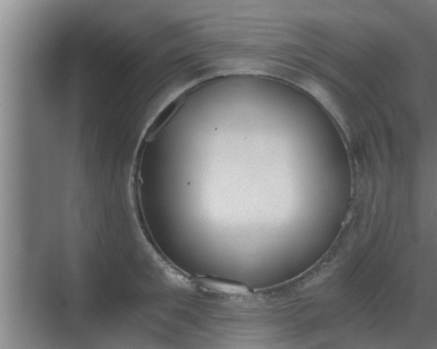 X0000069800901200605261719