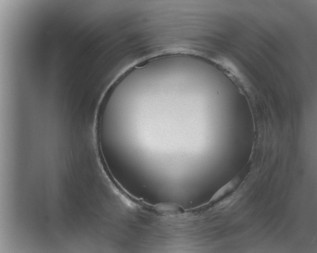 X0000069800902200605261719