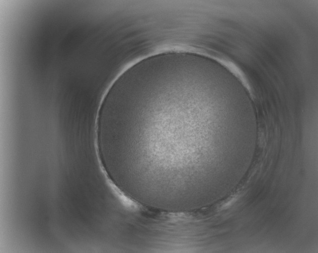 X0000069800903200605261719