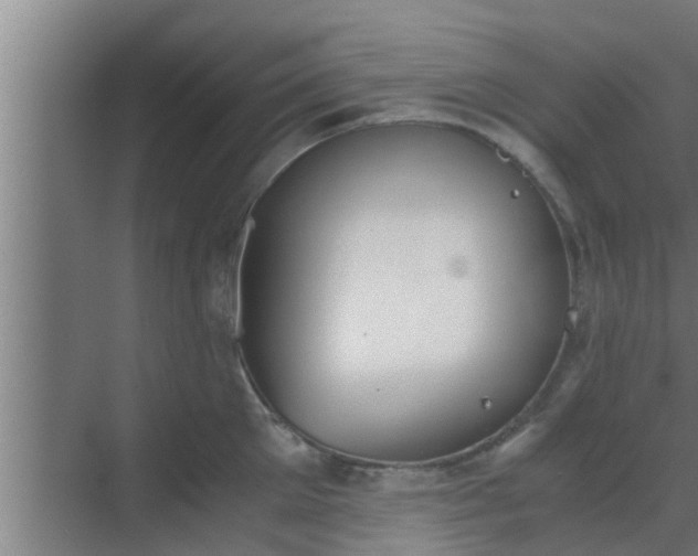 X0000069800905200605261719