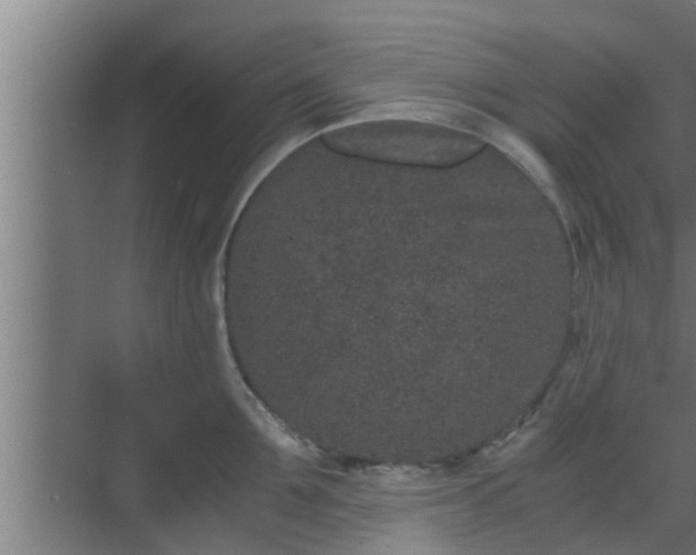 X0000069800907200605261719