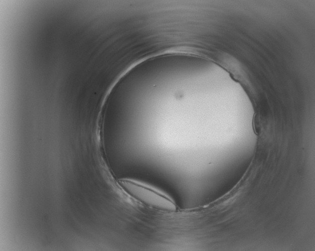 X0000069800908200605261719