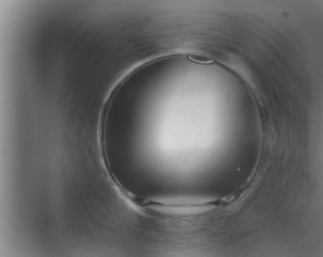 X0000069800910200605261719