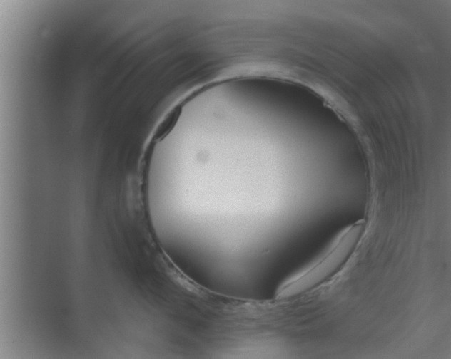 X0000069800912200605261719