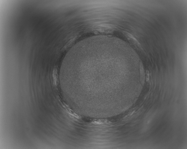 X0000069800915200605261718