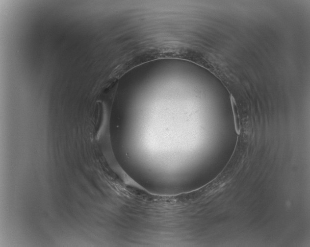 X0000069800916200605261718