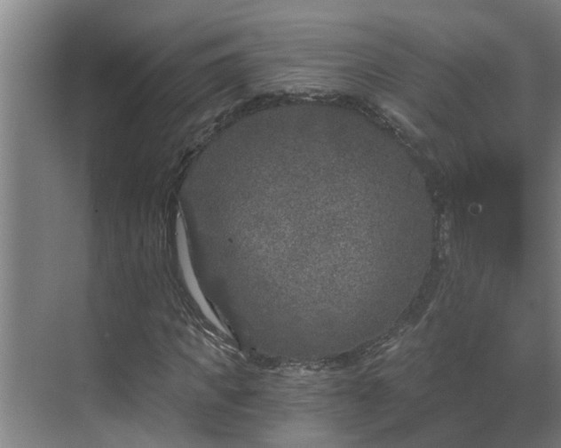 X0000069800917200605261718