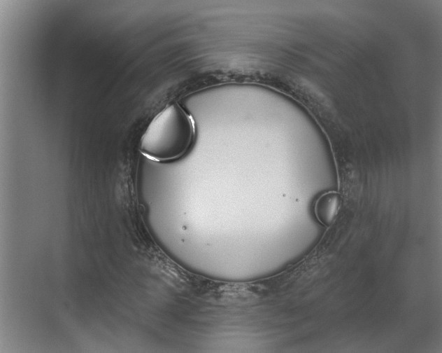 X0000069800918200605261718