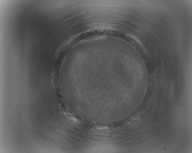 X0000069800919200605261719