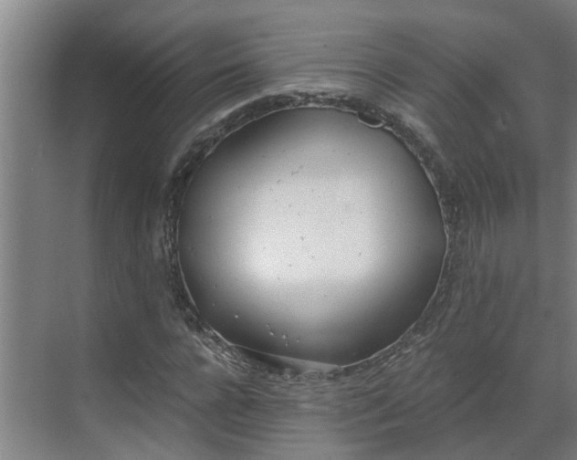 X0000069800920200605261719