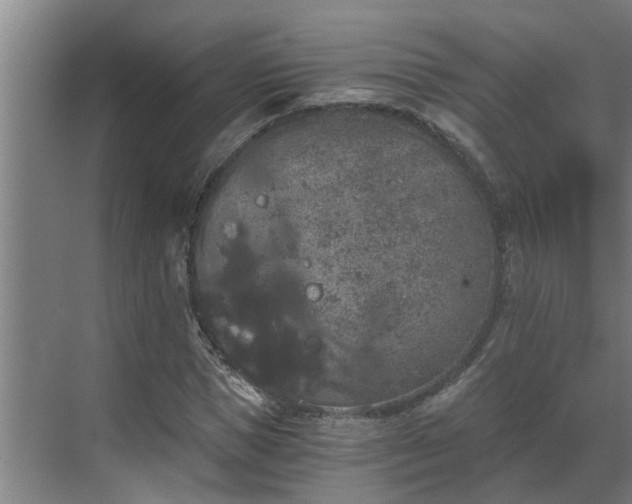 X0000069800921200605261719