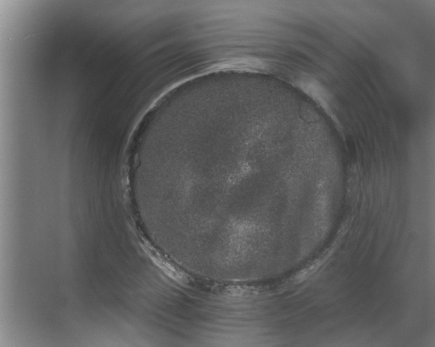 X0000069800923200605261719