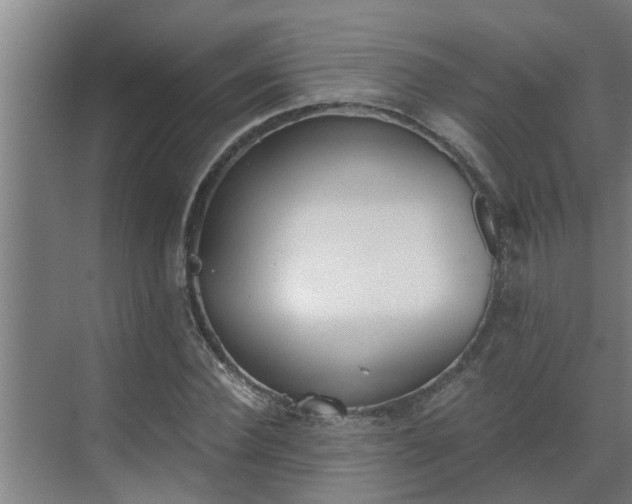 X0000069800924200605261719