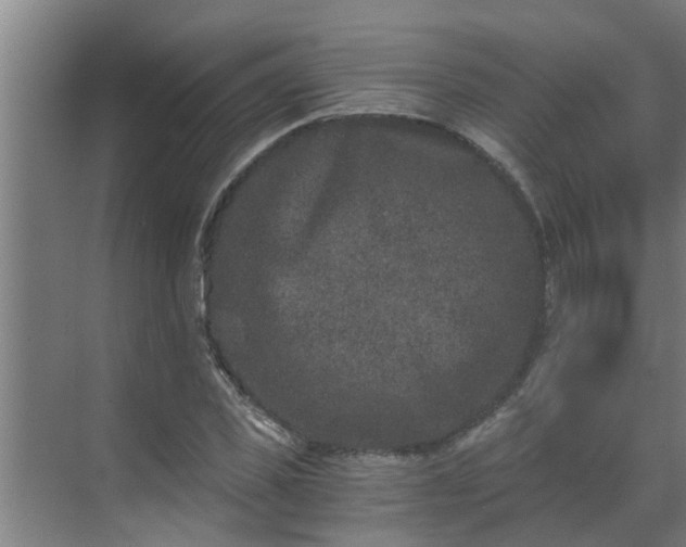 X0000069800925200605261719