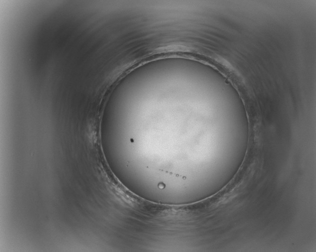 X0000069800929200605261719