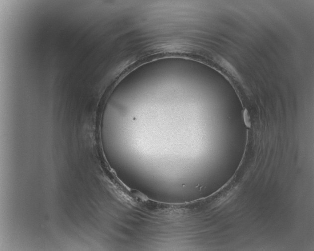 X0000069800930200605261719