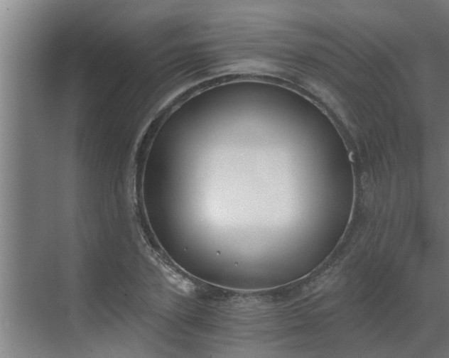 X0000069800931200605261719