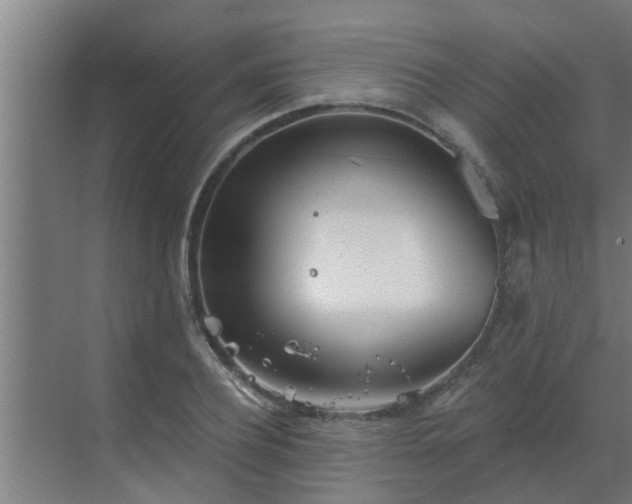 X0000069800932200605261719