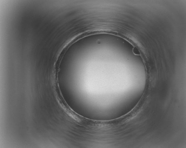 X0000069800933200605261719