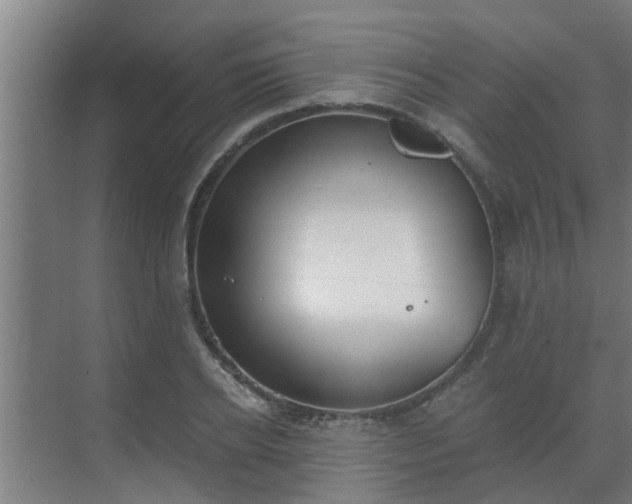 X0000069800934200605261719