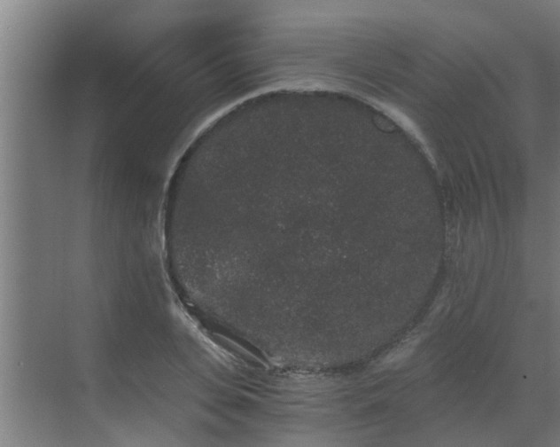 X0000069800935200605261719